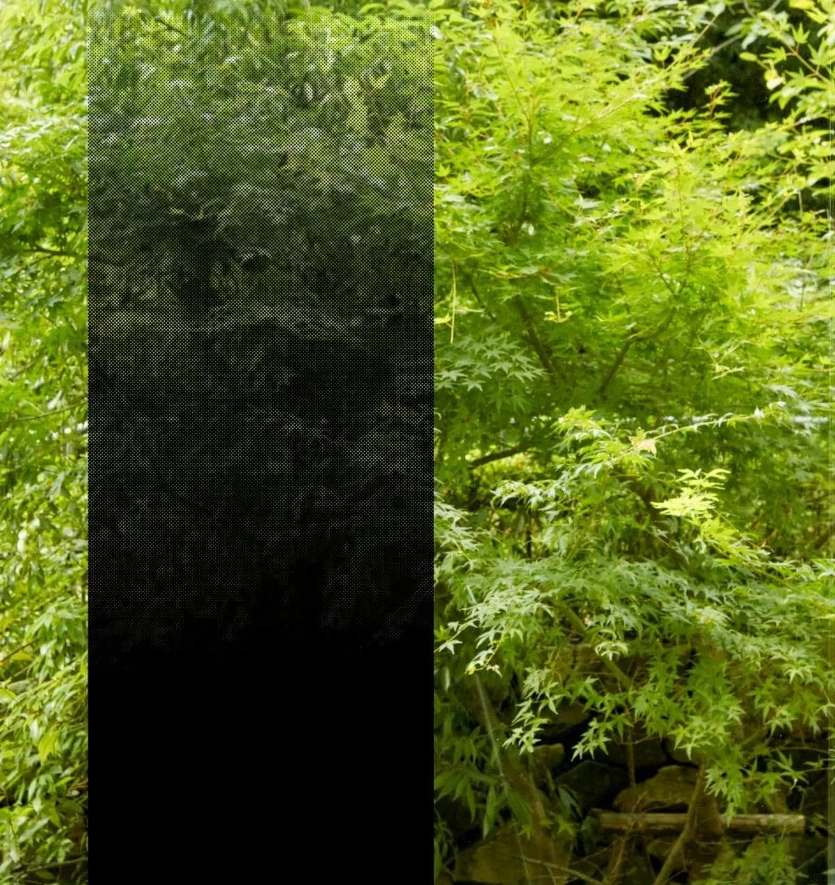 3M Fasara, Illumina Black, SH2BKIM 1270mm glass film